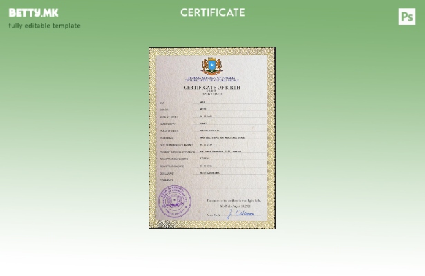 модерен стил Сомалија витален рекорд извод од матичната книга на родените ПСД ша